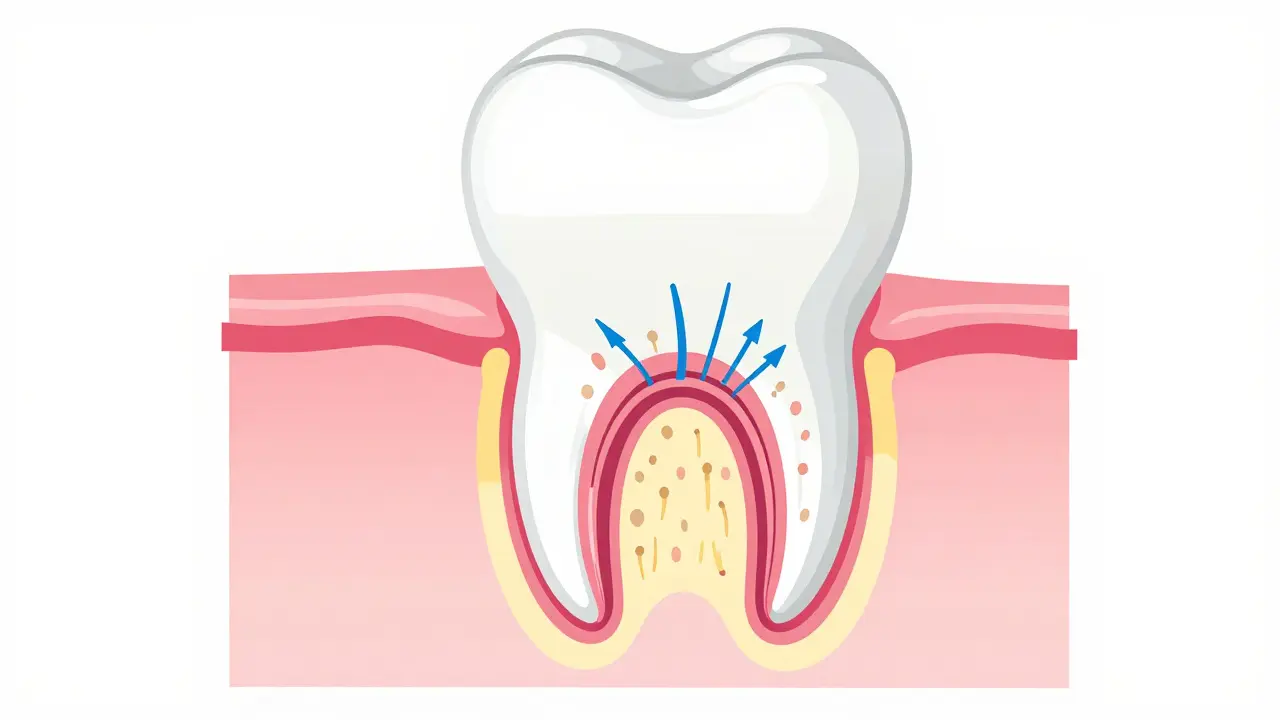 Schéma zubu ukazující email, dentin s tubuly a nerv, vysvětlující mechanismus citlivosti.